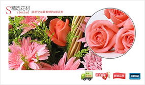 特别的今天,中国网上花城 商品内容 扶郎20枝 粉色康乃馨16枝 粉玫瑰6枝 满天星 黄莺 商品包装 精美花篮