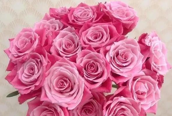 玫瑰之约花店运营:花店必备玫瑰花材——高原红