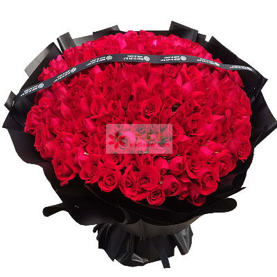 情人节求婚玫瑰花图片
