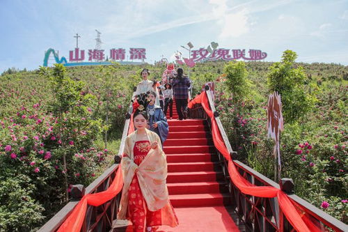 共赴玫瑰之约 宣汉大成2025农文旅综合消费季在千亩玫瑰园里开幕