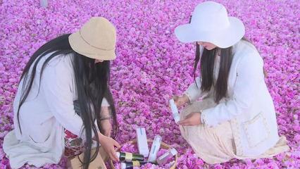 江苏响水:芳香花卉产业助推“香”村振兴