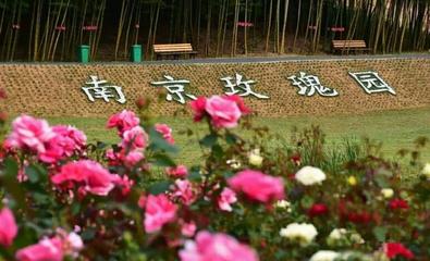 南京玫瑰园门票价格/多少钱/在线预订_南京玫瑰园地址/在哪里/好玩吗/游玩攻略