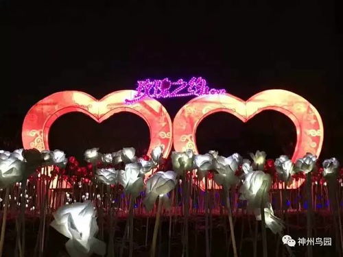 4月14日玫瑰之约 为爱起航的浪漫序章